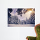Winter Forest Wall Decal