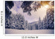 Winter Forest Wall Decal