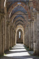 Abbey San Galgano Tuscany Wall Decal