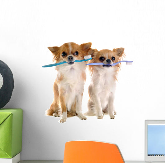 Chihuahuas and Toothbrush Wall Decal