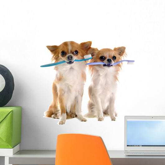 Chihuahuas and Toothbrush Wall Decal