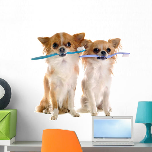 Chihuahuas and Toothbrush Wall Decal