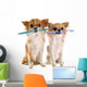 Chihuahuas and Toothbrush Wall Decal