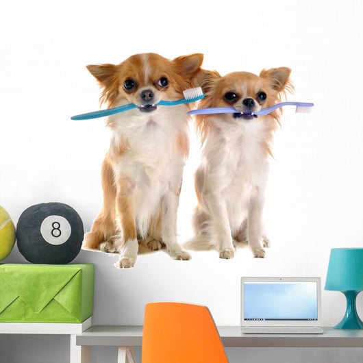 Chihuahuas and Toothbrush Wall Decal