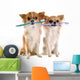 Chihuahuas and Toothbrush Wall Decal