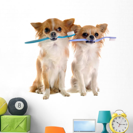 Chihuahuas and Toothbrush Wall Decal