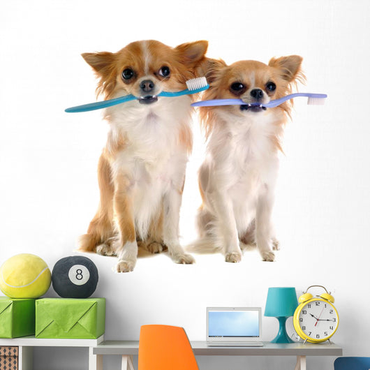 Chihuahuas and Toothbrush Wall Decal