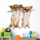 Chihuahuas and Toothbrush Wall Decal