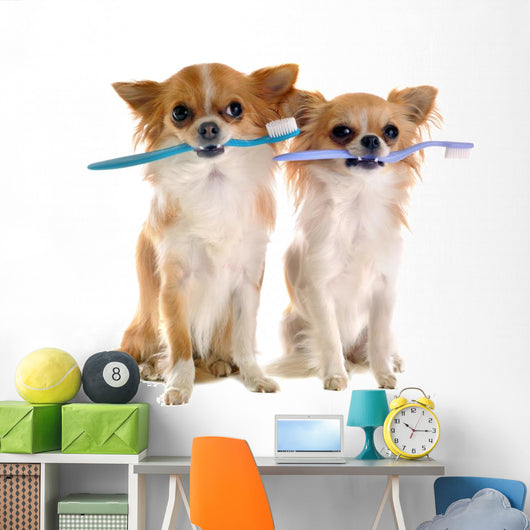 Chihuahuas and Toothbrush Wall Decal
