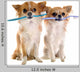 Chihuahuas and Toothbrush Wall Decal
