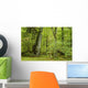 Forest Landscape with  Wall Decal
