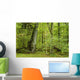 Forest Landscape with  Wall Decal