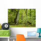 Forest Landscape with  Wall Decal