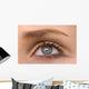 Macro Beautiful Female Eye Wall Decal