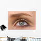 Macro Beautiful Female Eye Wall Decal
