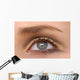 Macro Beautiful Female Eye Wall Decal