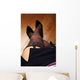 Sexy Legs Wall Decal