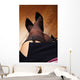 Sexy Legs Wall Decal