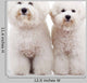 Two Bichon Frise Puppy Wall Decal