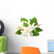 White Jasmine Flowers Wall Decal