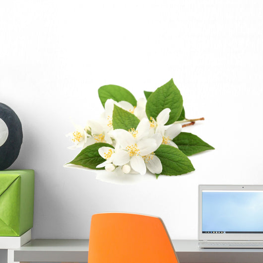 White Jasmine Flowers Wall Decal
