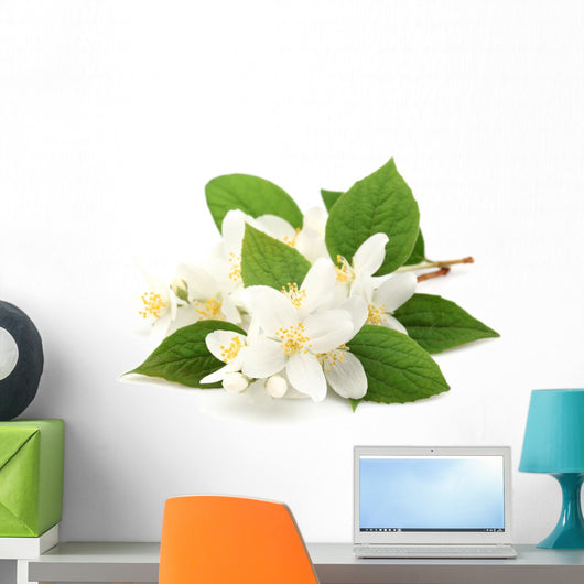 White Jasmine Flowers Wall Decal