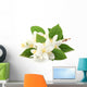 White Jasmine Flowers Wall Decal