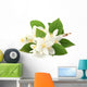 White Jasmine Flowers Wall Decal