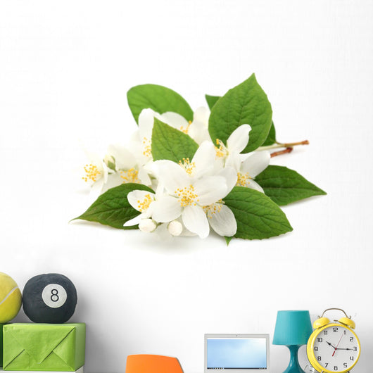 White Jasmine Flowers Wall Decal