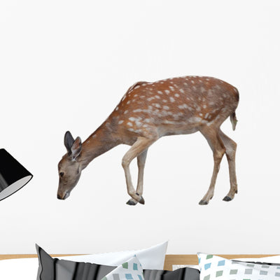 Whitetail Deer Fawn White Wall Decal shown on a wall