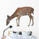 Whitetail Deer Fawn White Wall Decal