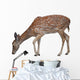 Whitetail Deer Fawn White Wall Decal