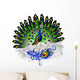 Peacock Illustration Wall Decal