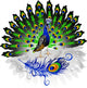 Peacock Illustration Wall Decal