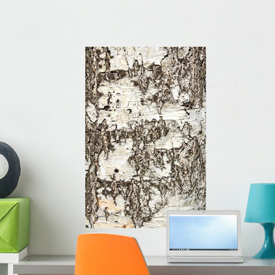 Birch Bark Wall Decal shown on a wall