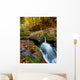 Mountain Stream Ukrainian Carpathians Wall Decal