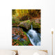 Mountain Stream Ukrainian Carpathians Wall Decal
