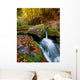 Mountain Stream Ukrainian Carpathians Wall Decal