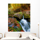 Mountain Stream Ukrainian Carpathians Wall Decal