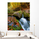 Mountain Stream Ukrainian Carpathians Wall Decal