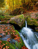 Mountain Stream Ukrainian Carpathians Wall Decal