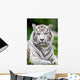 White Bengal Tiger Wall Decal