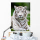 White Bengal Tiger Wall Decal