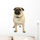 Pug Wall Decal