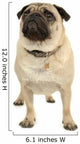 Pug Wall Decal