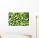 Ground Ivy Wall Decal