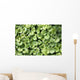 Ground Ivy Wall Decal