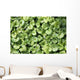 Ground Ivy Wall Decal