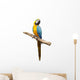 Macaw Parrot Wall Decal