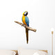 Macaw Parrot Wall Decal